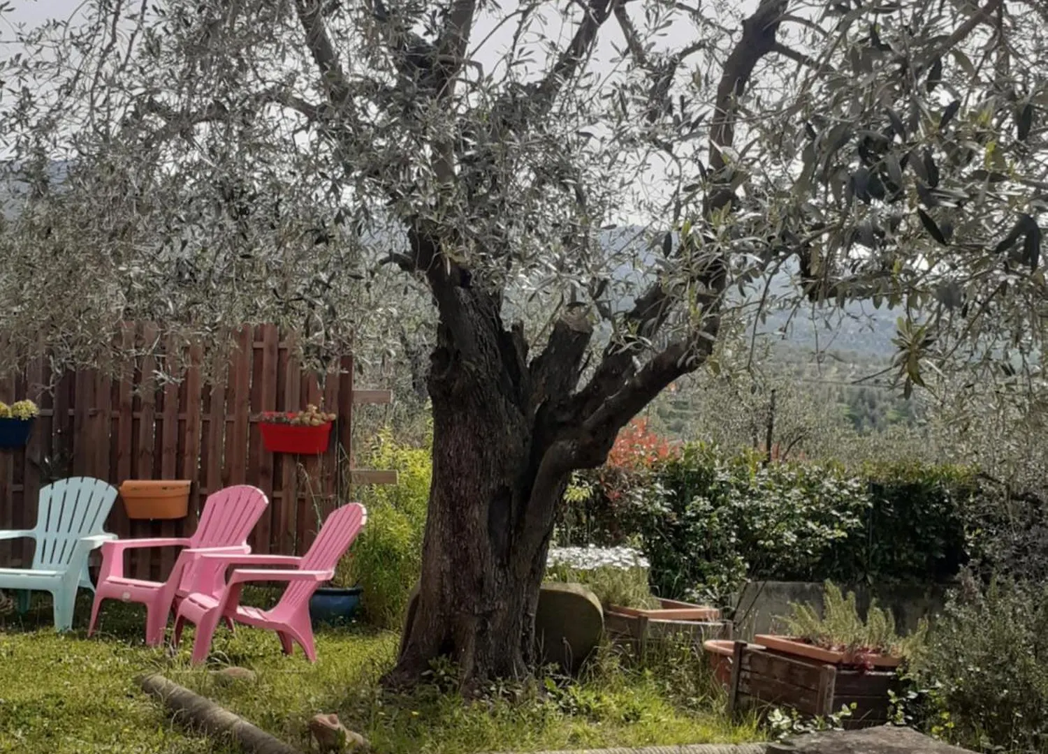Agriturismo Podere Zollaio Vinci Landhuis