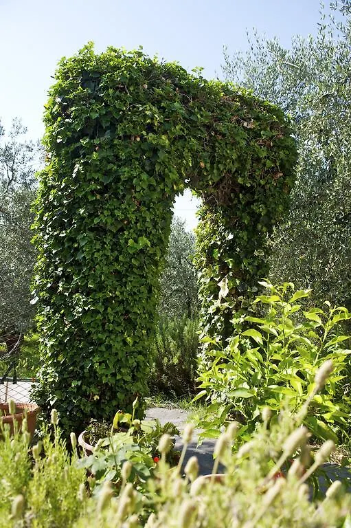 Agriturismo Podere Zollaio Vinci Landhuis