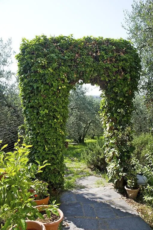 Agriturismo Podere Zollaio Vinci