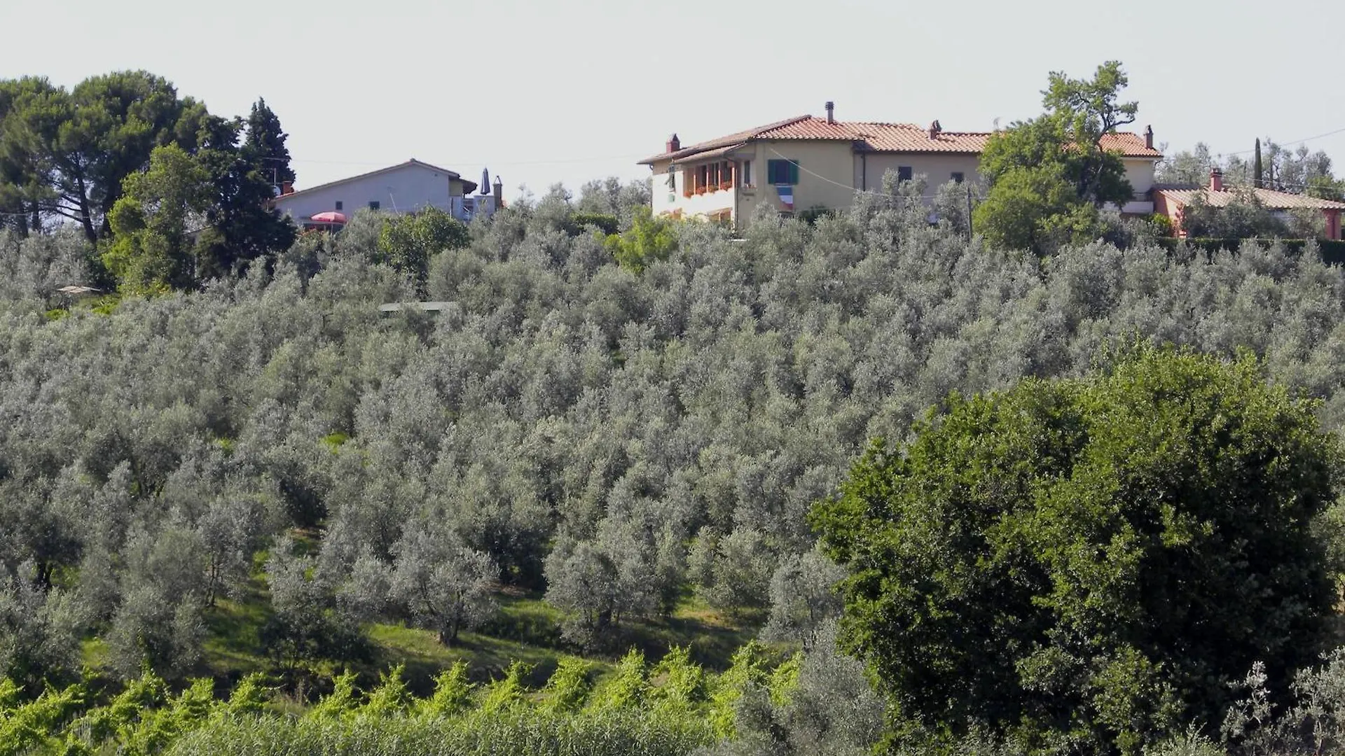 Agriturismo Podere Zollaio Vinci Casa di campagna